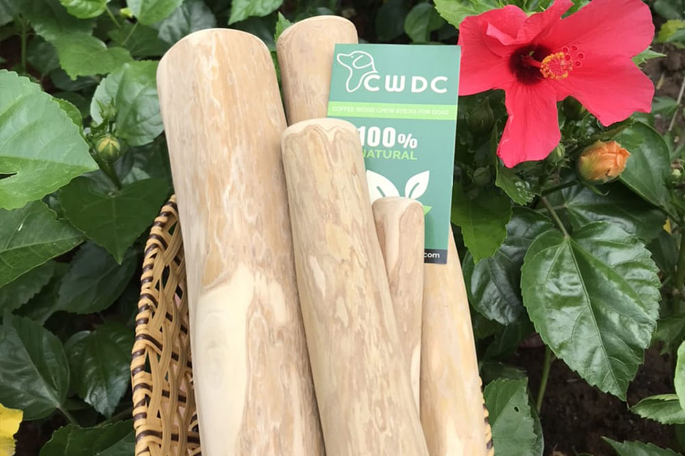 vietnam-coffee-wood-chew-stick-manufacturer-supplier-wholesaler