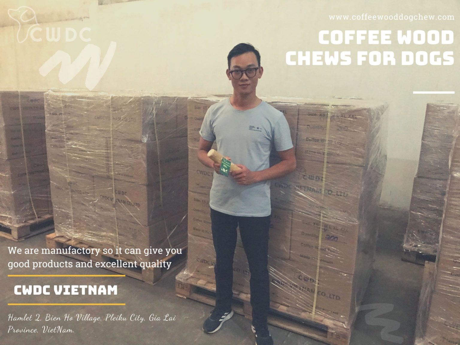 Coffee wood dog chew review Is coffee wood digestible for dogs?