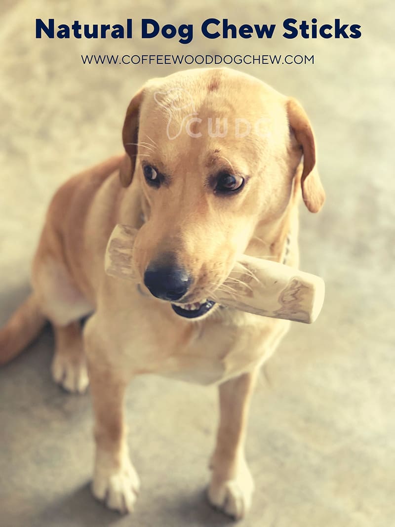 natural-dog-chew-sticks-coffee-wood-toys-cwdc-vietnam
