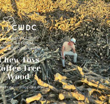 factory-price-dog-toy-coffee-wood-chew-eco-friendly-durable-toy-high-quality-export-to-eu