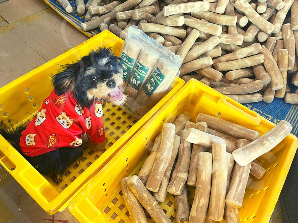 CWDC VietNam High-Quality Coffee Chew Toys at Affordable Prices