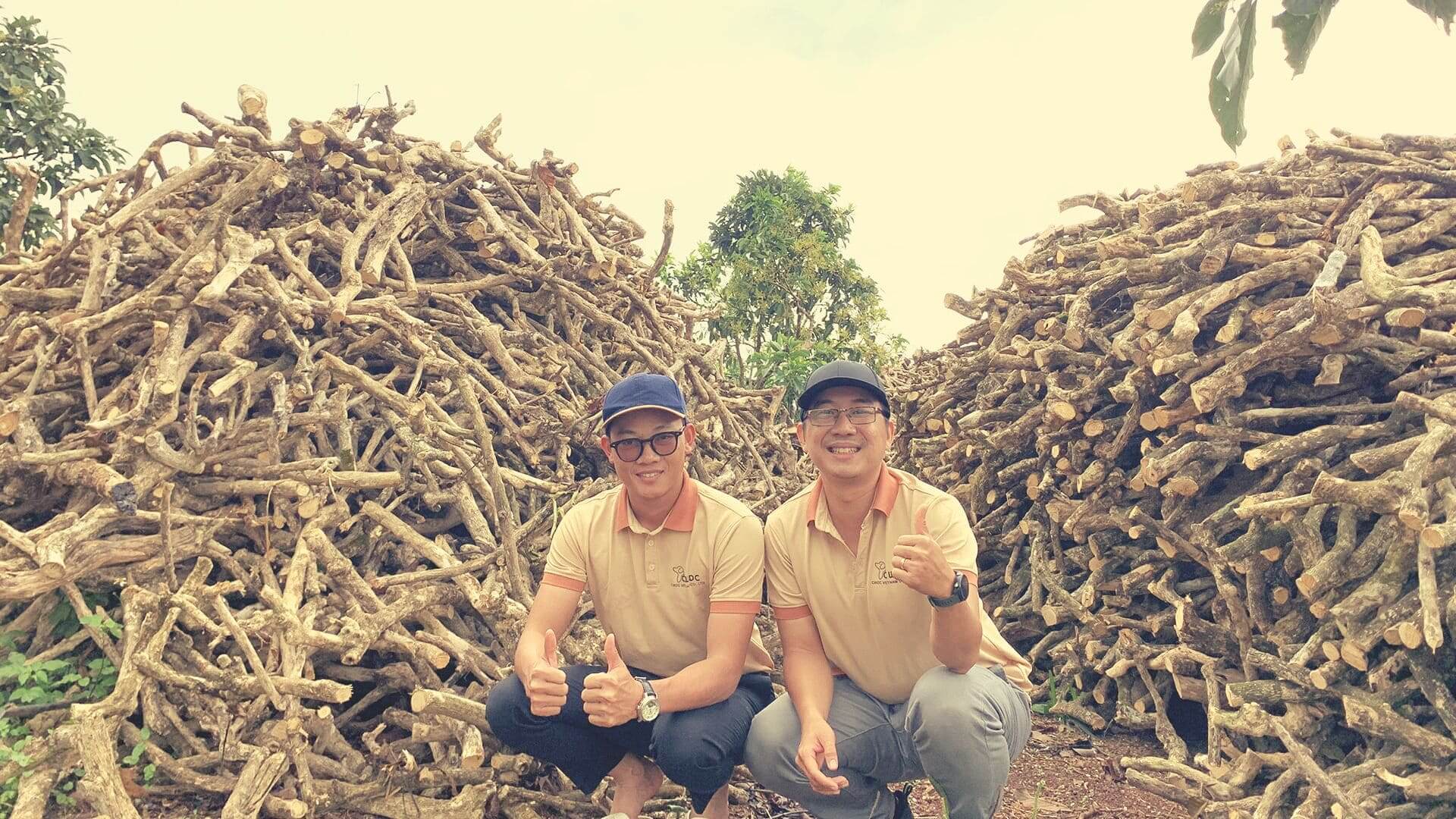 coffee-wood-chew-toy-new-arrival-best-selling-coffee-tree-wood-chew-sticks-for-dogs-made-in-vietnam-slider-1