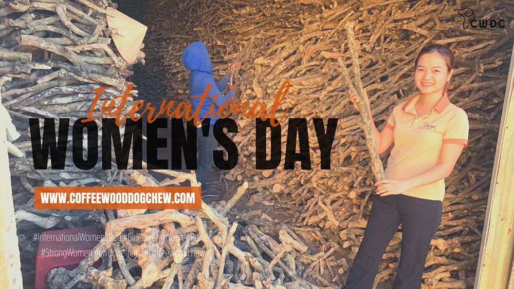 happy-international-womens-day-sales-with-30-off-coffee-wood-chew-from-cwdc-vietnam