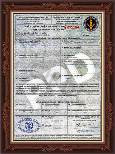 Phytosanitary_certificate_CWDC_Vietnam_Image