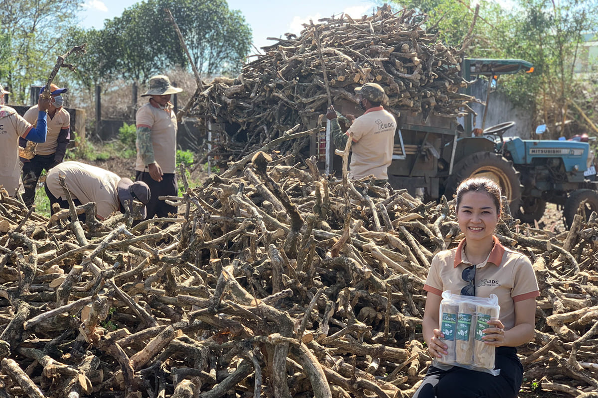 supporting-local-farmers-and-sustainability-coffee-wood-stick-in-the-highlands-of-vietnam