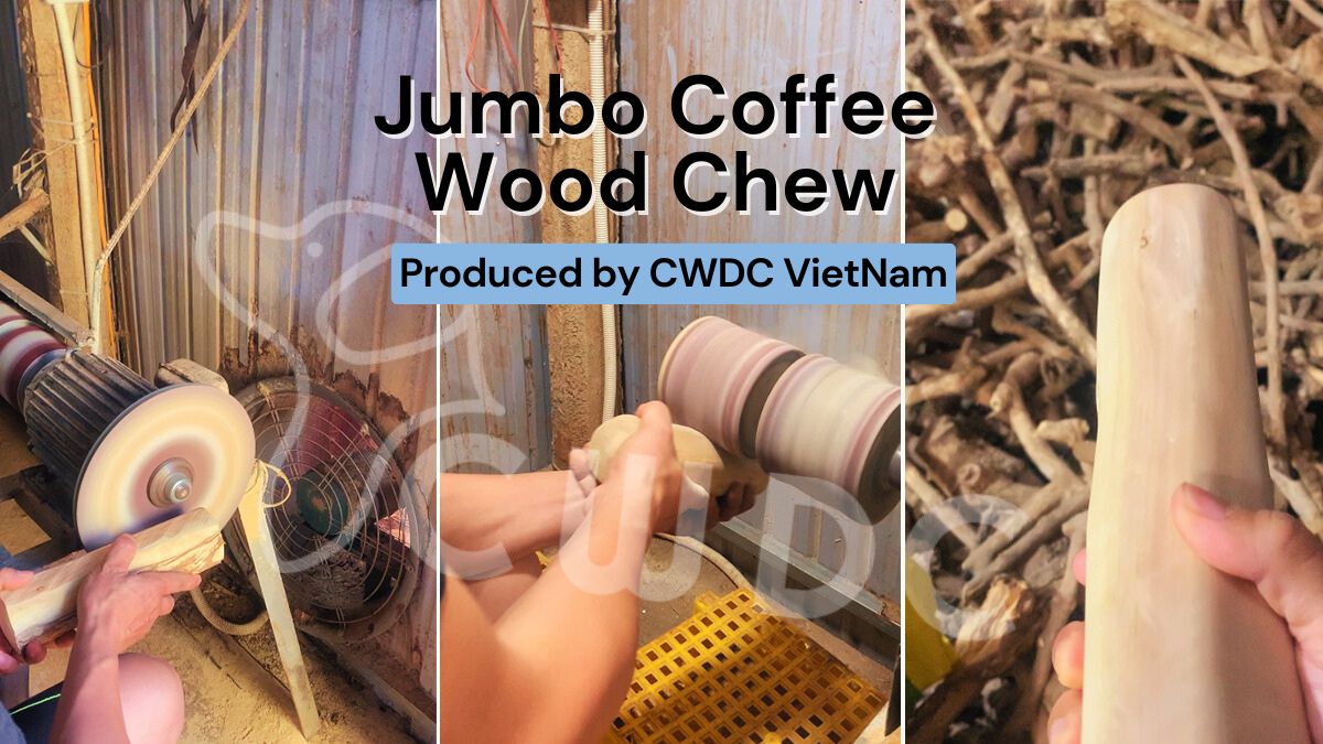 jumbo-coffee-wood-chew-stick-an-innovative-product-from-cwdc-vietnam