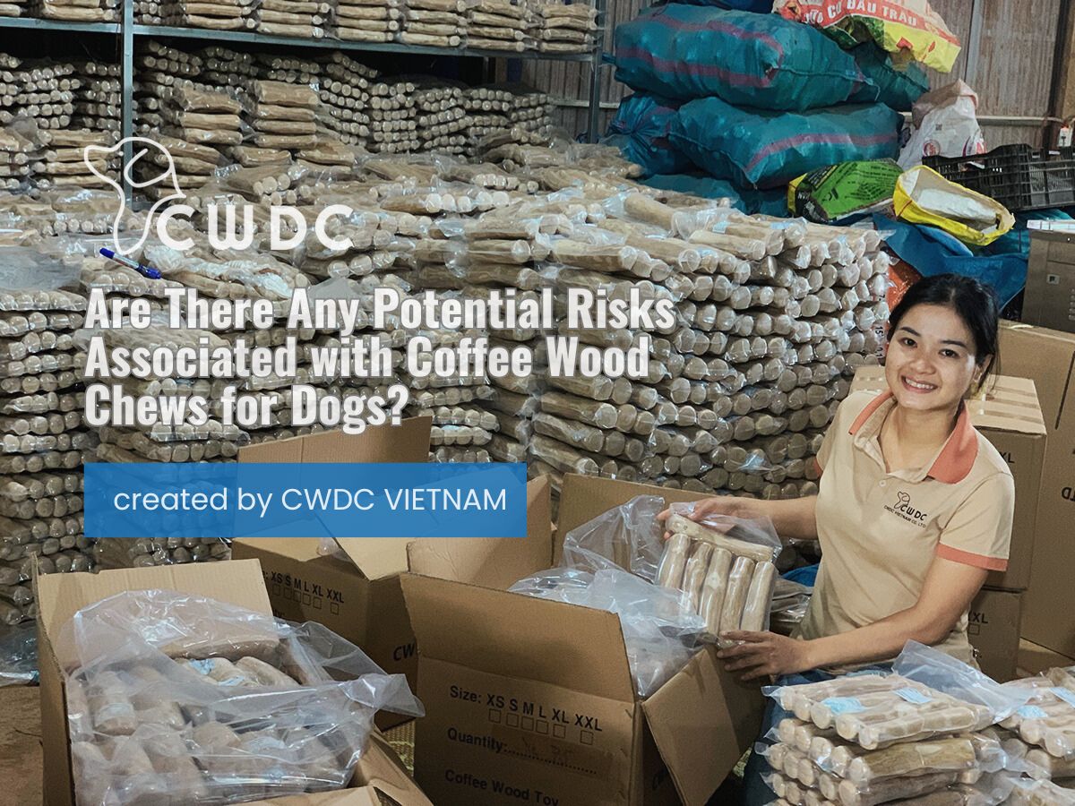 are-there-any-potential-risks-associated-with-coffee-wood-chews-for-dogs