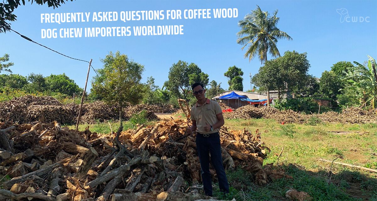 frequently-asked-questions-for-coffee-wood-dog-chew-importers-worldwide