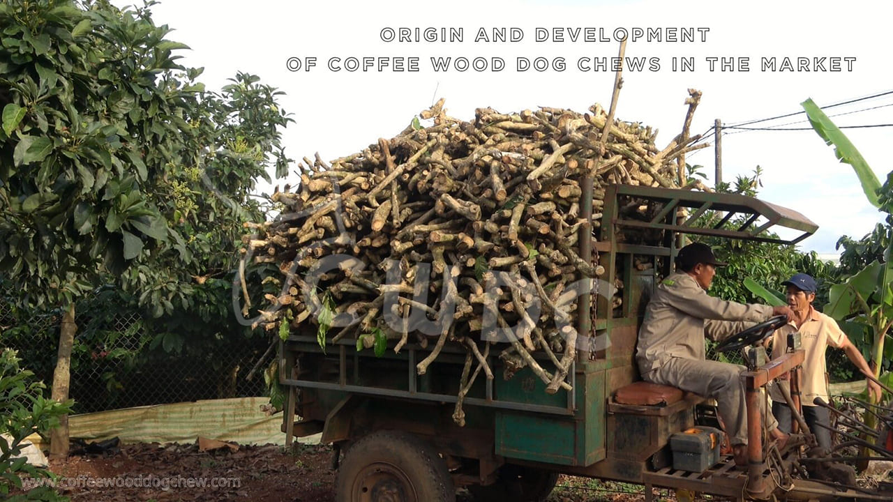 origin-and-development-of-coffee-wood-dog-chews-in-the-market