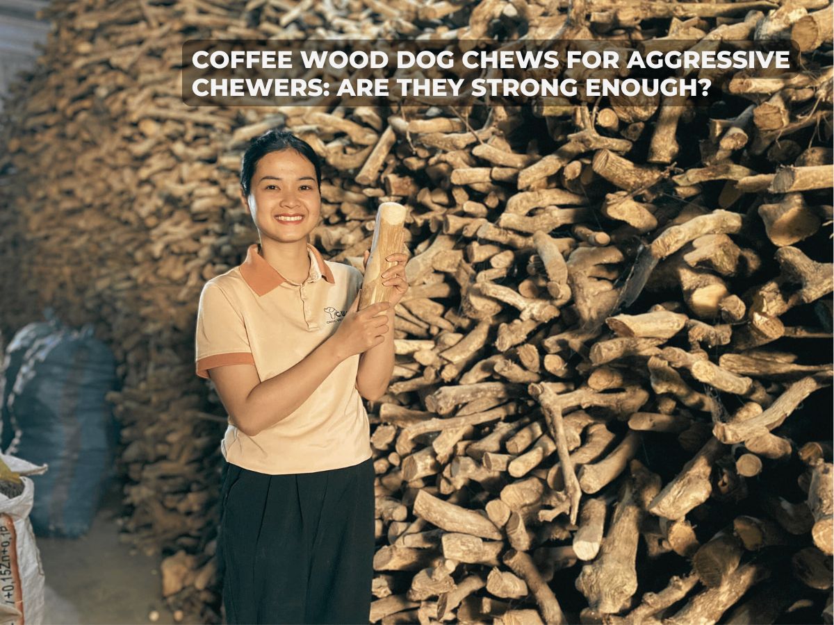 coffee-wood-dog-chews-for-aggressive-chewers-are-they-strong-enough