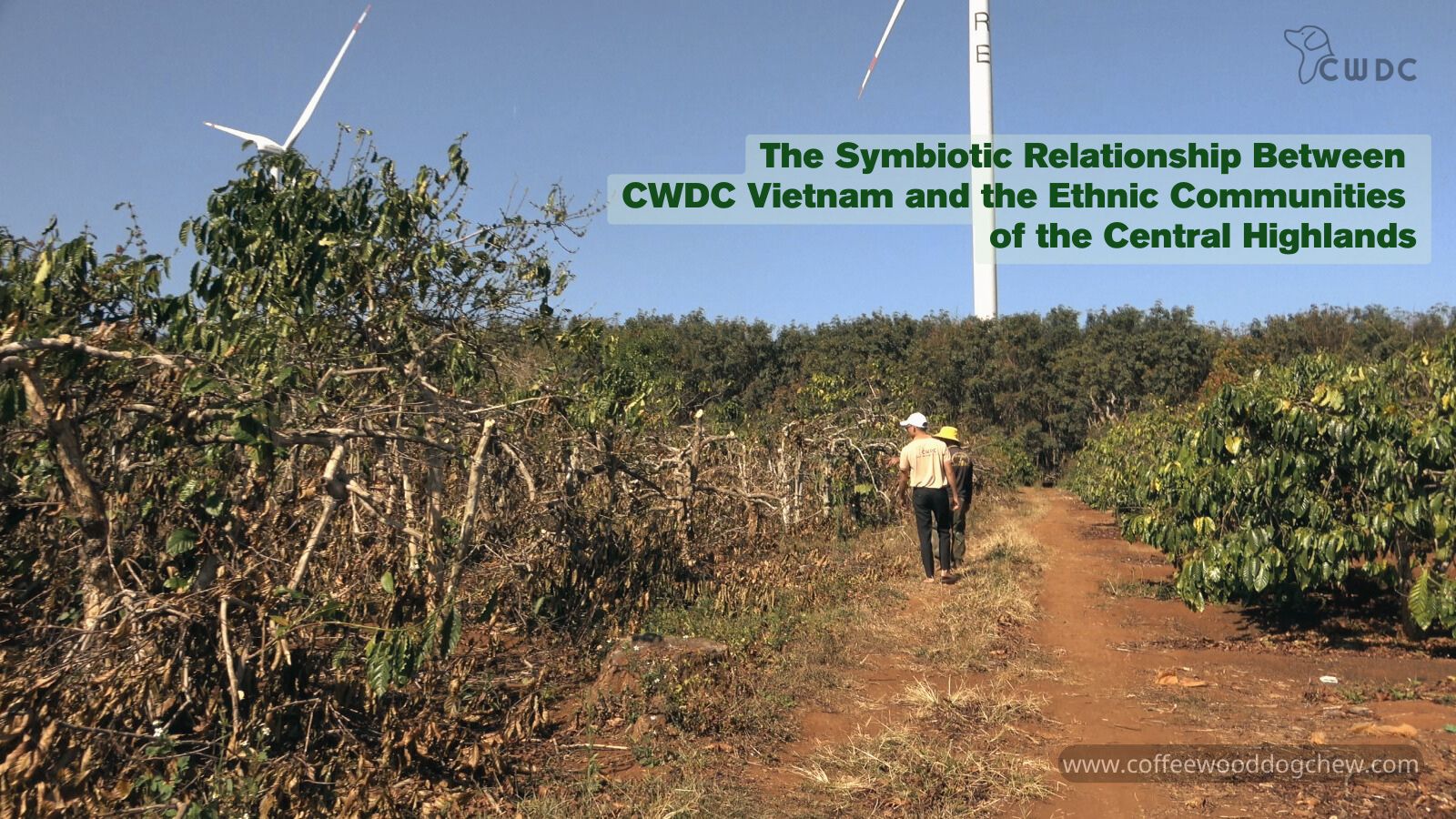 the-symbiotic-relationship-between-cwdc-vietnam-and-the-ethnic-communities-of-the-central-highlands