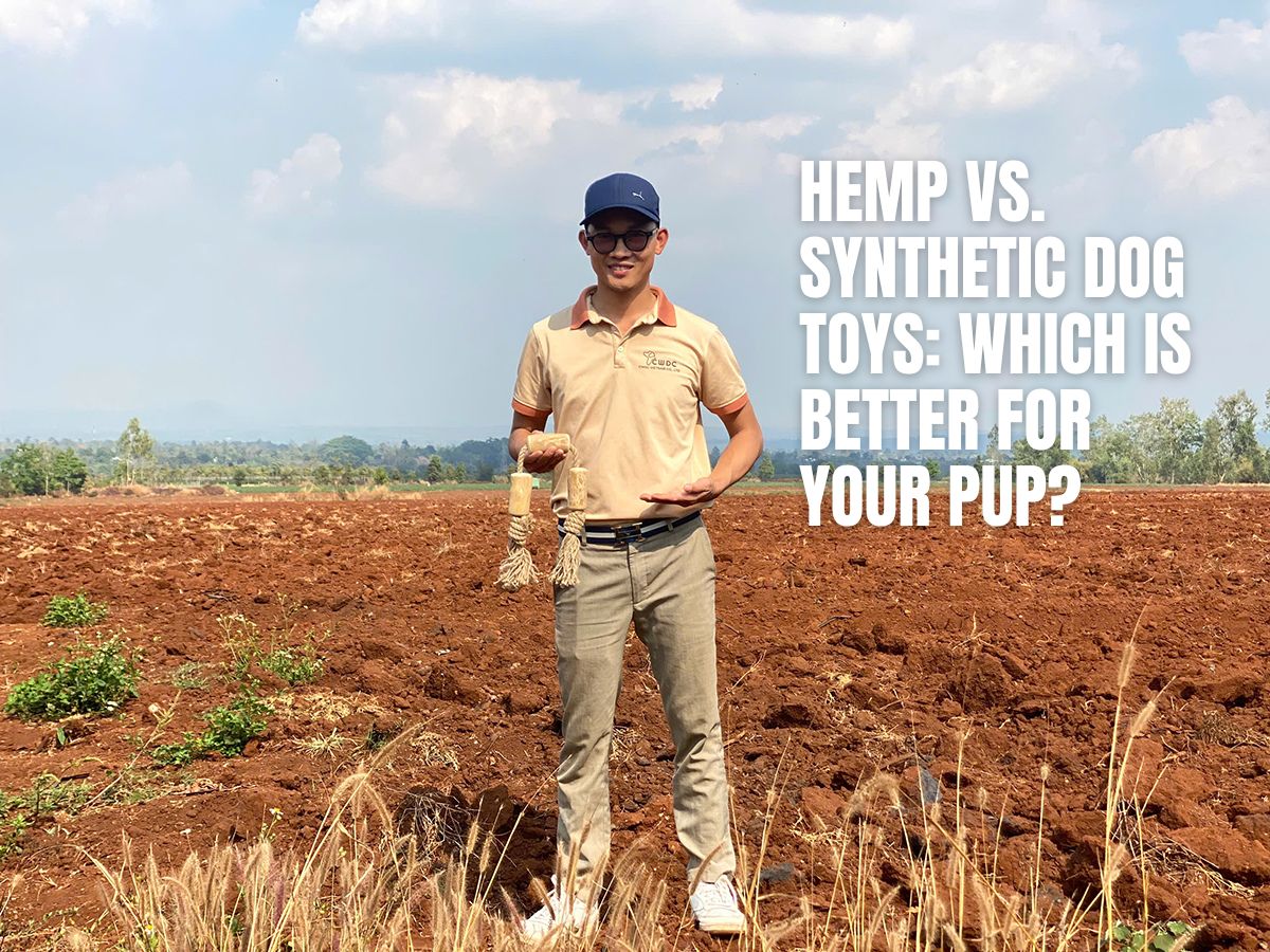 hemp-vs-synthetic-dog-toys-which-is-better-for-your-pup