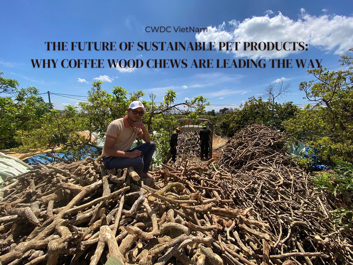 the-future-of-sustainable-pet-products-why-coffee-wood-chews-are-leading-the-way