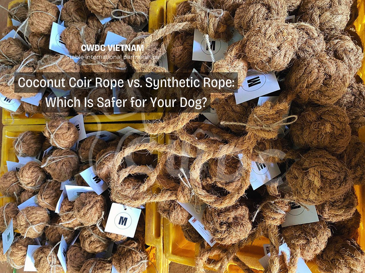 coconut-coir-rope-vs-synthetic-rope-which-is-safer-for-your-dog