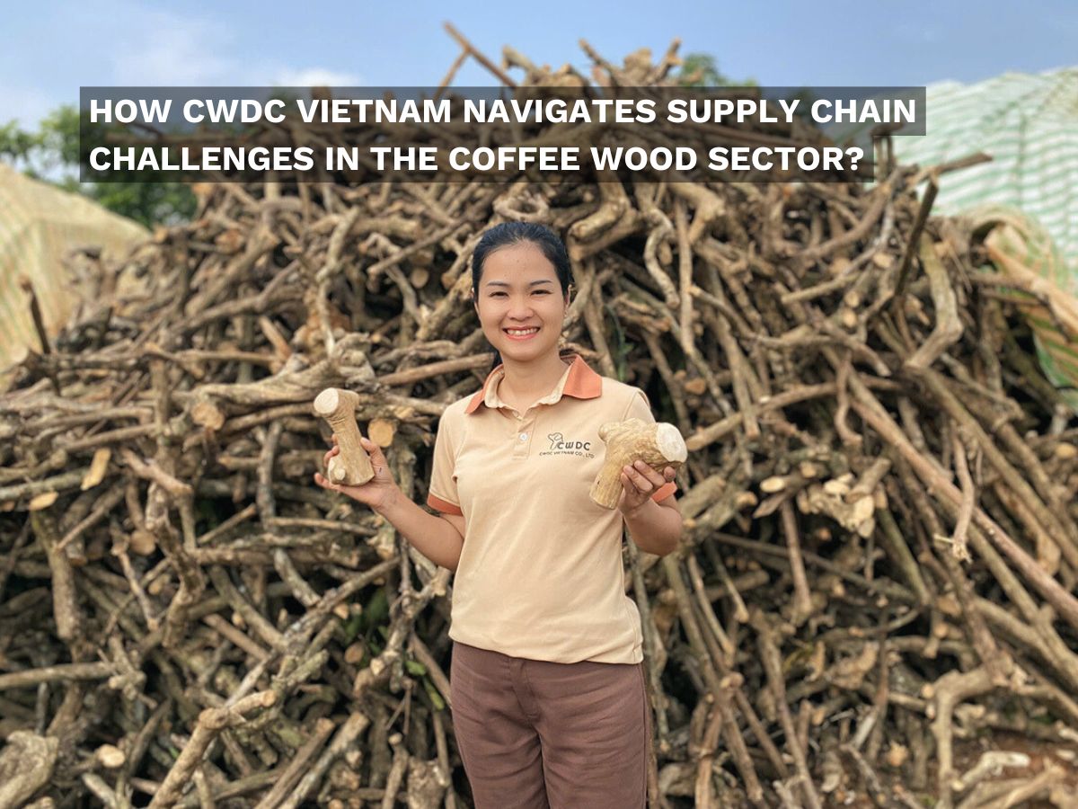 how-cwdc-vietnam-navigates-supply-chain-challenges-in-the-coffee-wood-sector
