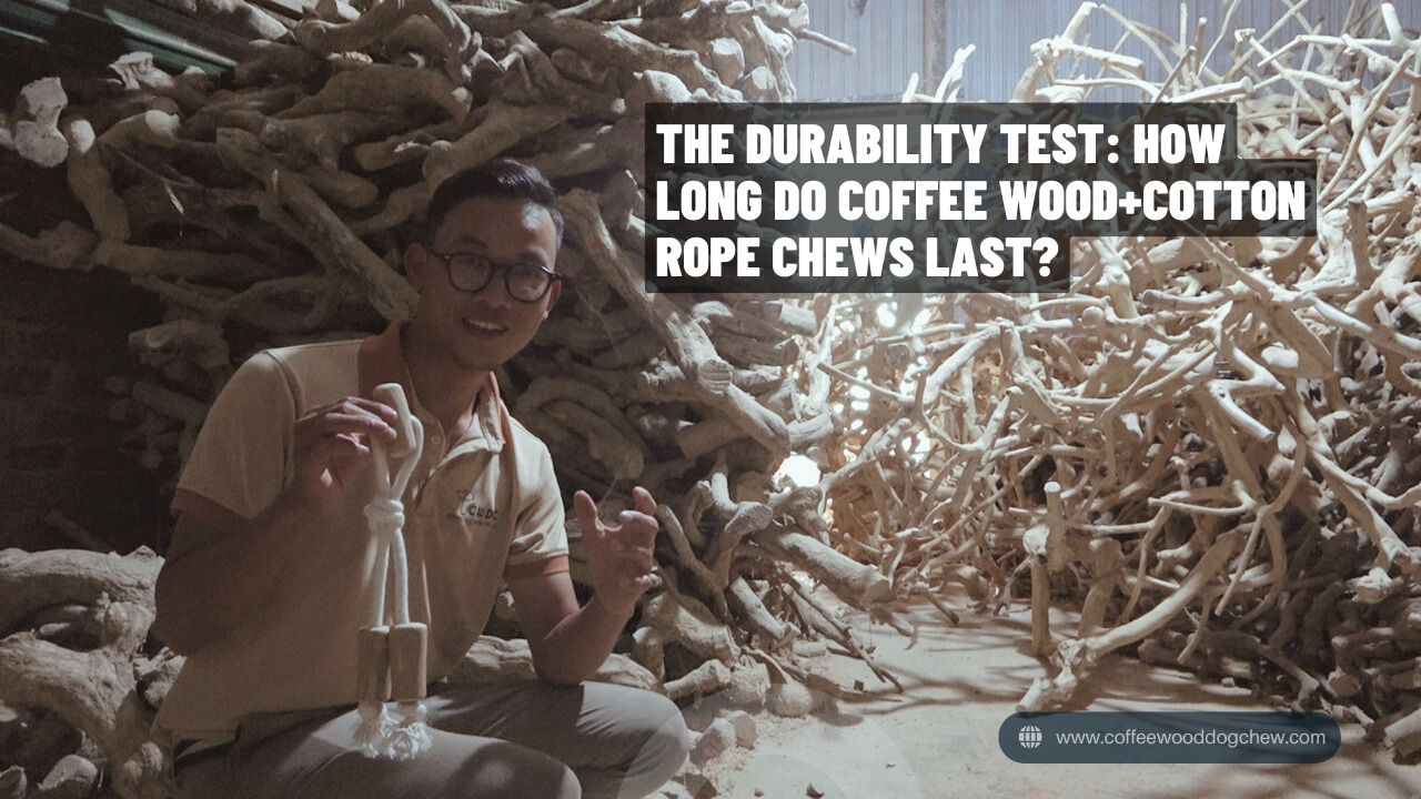 the-durability-test-how-long-do-coffee-wood-cotton-rope-chews-last