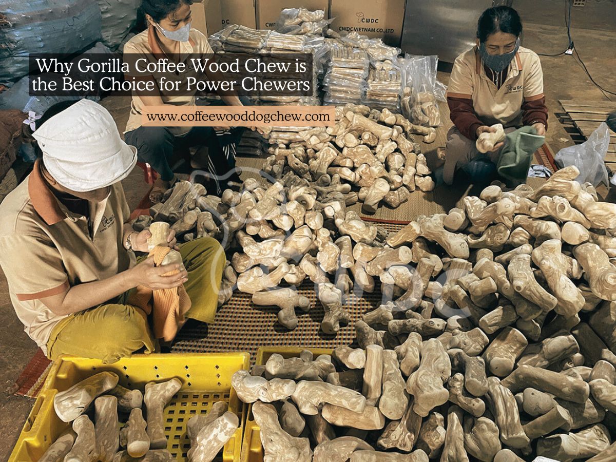 why-gorilla-coffee-wood-chew-is-the-best-choice-for-power-chewers