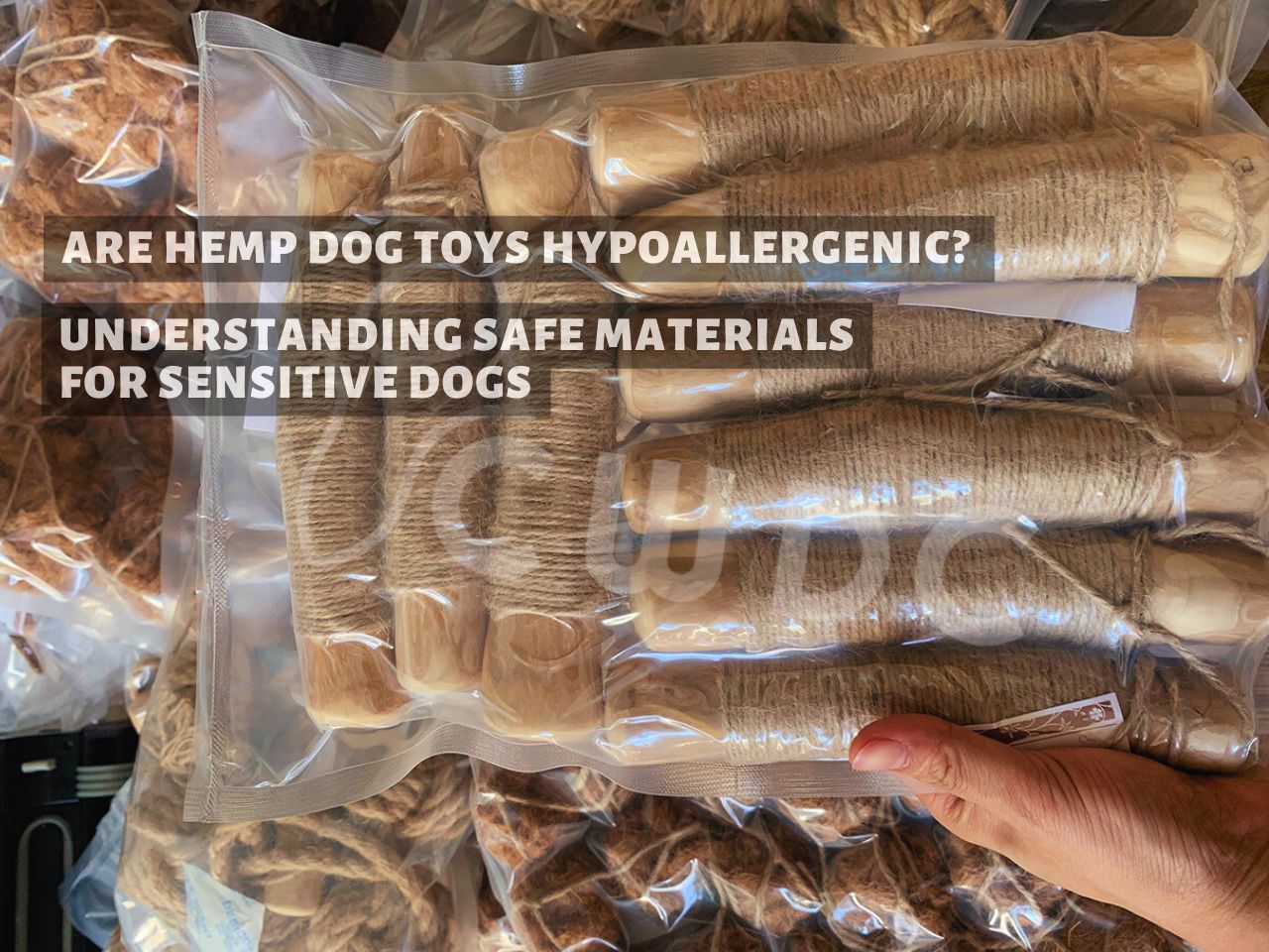 are-hemp-dog-toys-hypoallergenic-understanding-safe-materials-for-sensitive-dogs