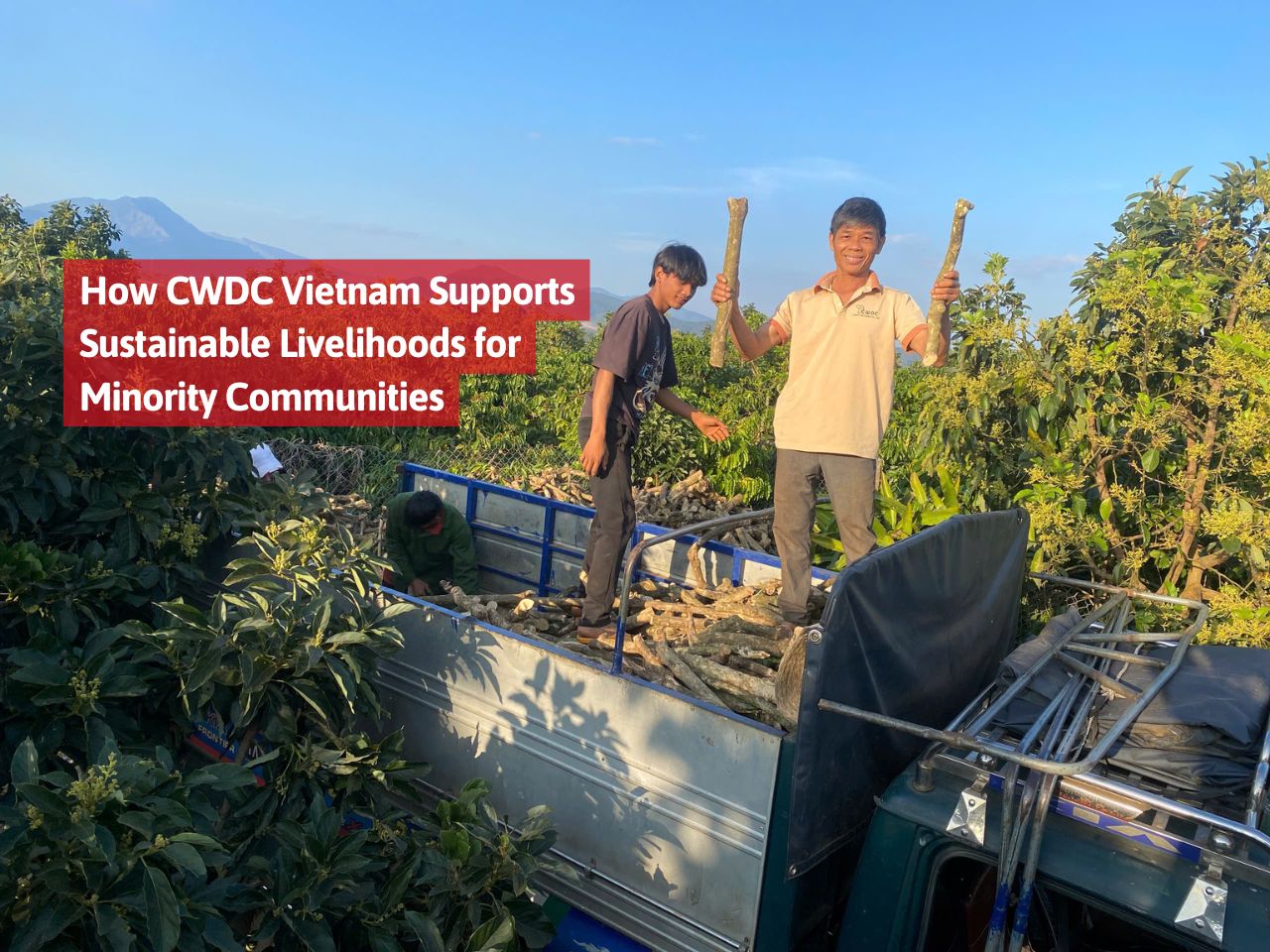 how-cwdc-vietnam-supports-sustainable-livelihoods-for-minority-communities