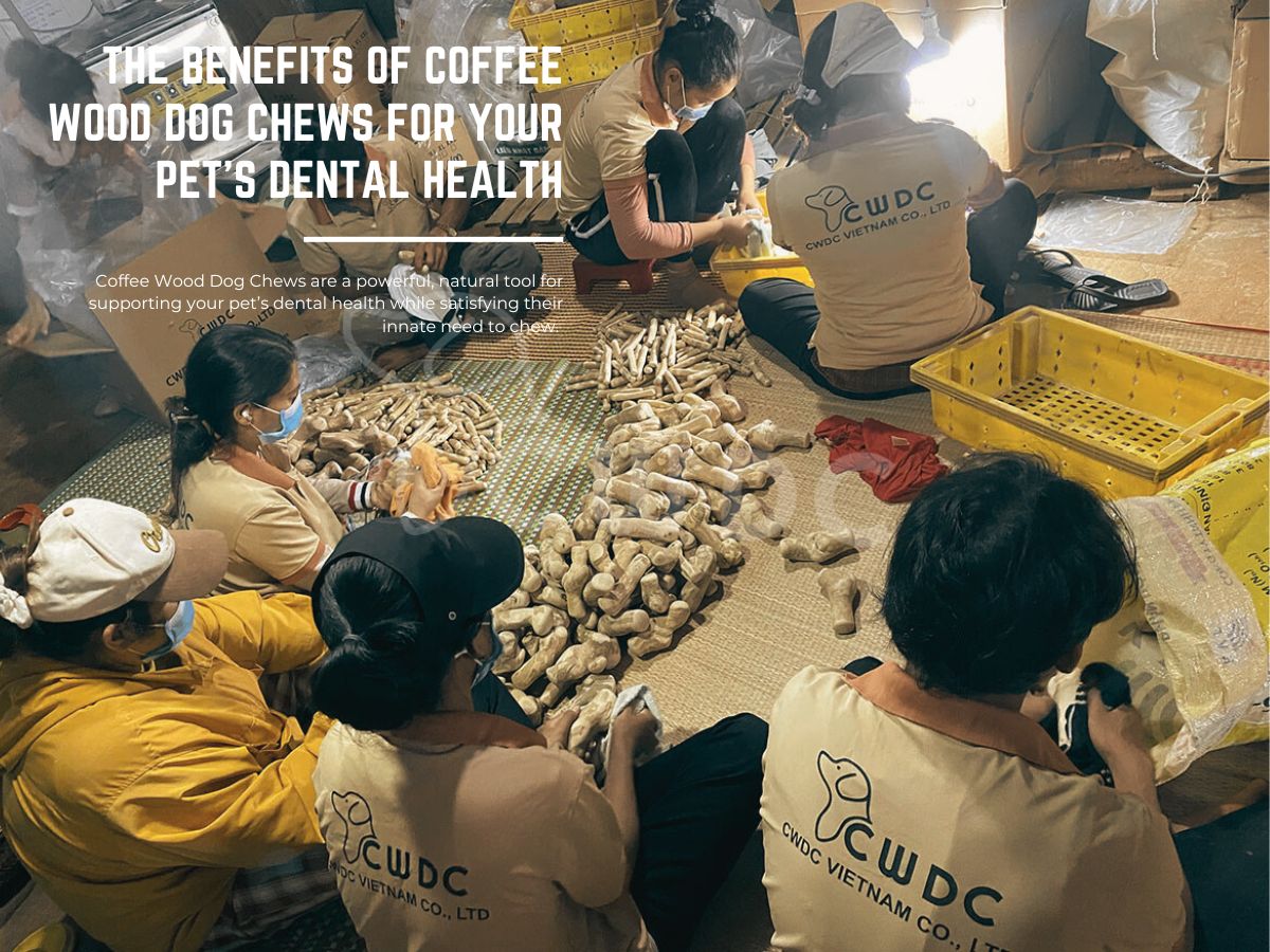 the-benefits-of-coffee-wood-dog-chews-for-your-pets-dental-health