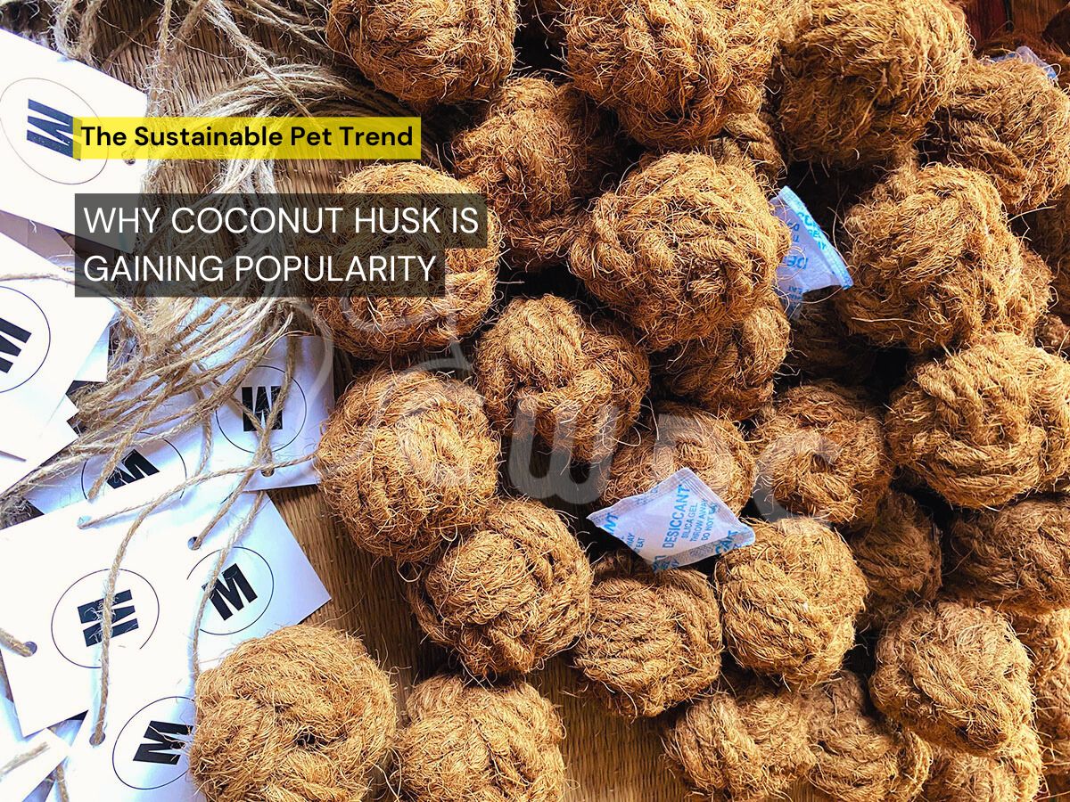 the-sustainable-pet-trend-why-coconut-husk-is-gaining-popularity