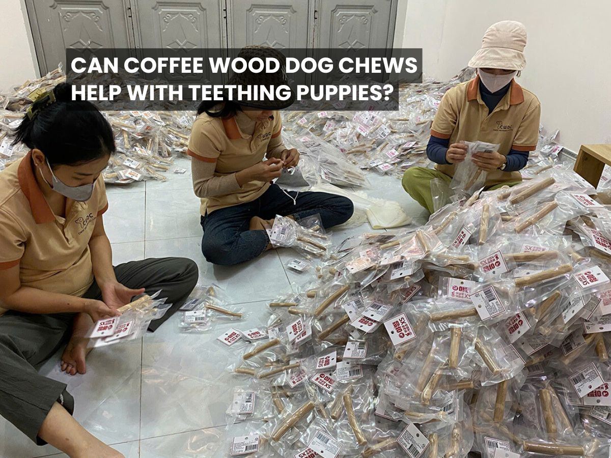 can-coffee-wood-dog-chews-help-with-teething-puppies