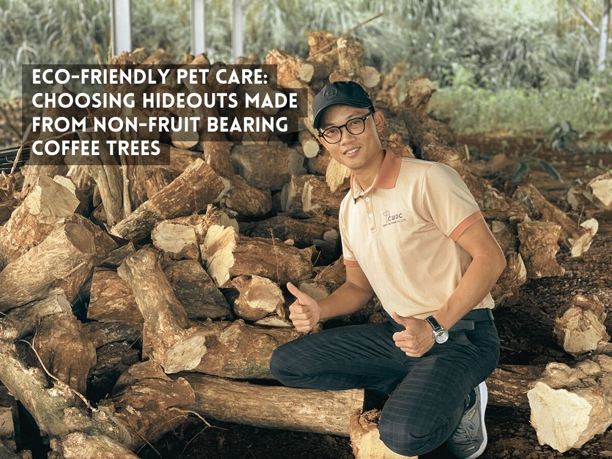eco-friendly-pet-care-choosing-hideouts-made-from-non-fruit-bearing-coffee-trees
