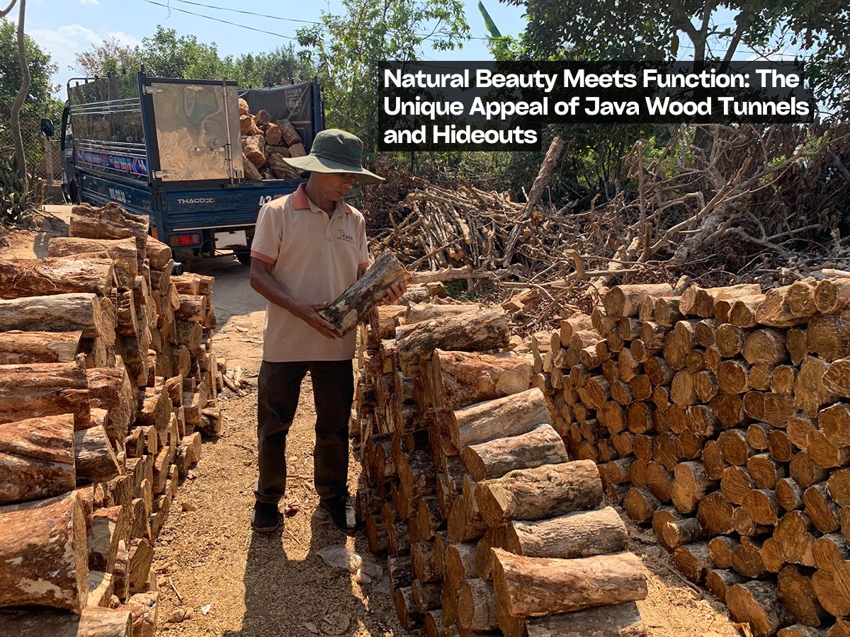 natural-beauty-meets-function-the-unique-appeal-of-java-wood-tunnels-and-hideouts