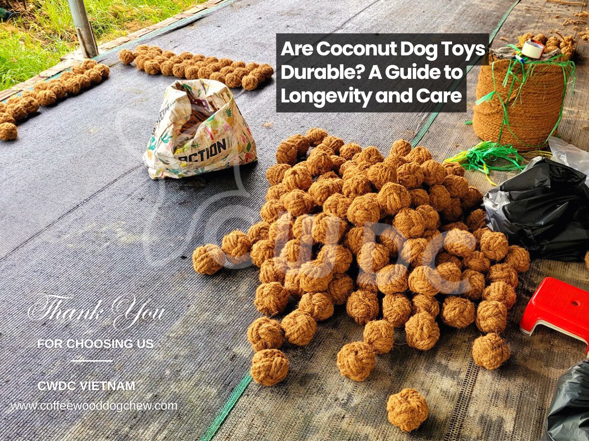 are-coconut-dog-toys-durable-a-guide-to-longevity-and-care