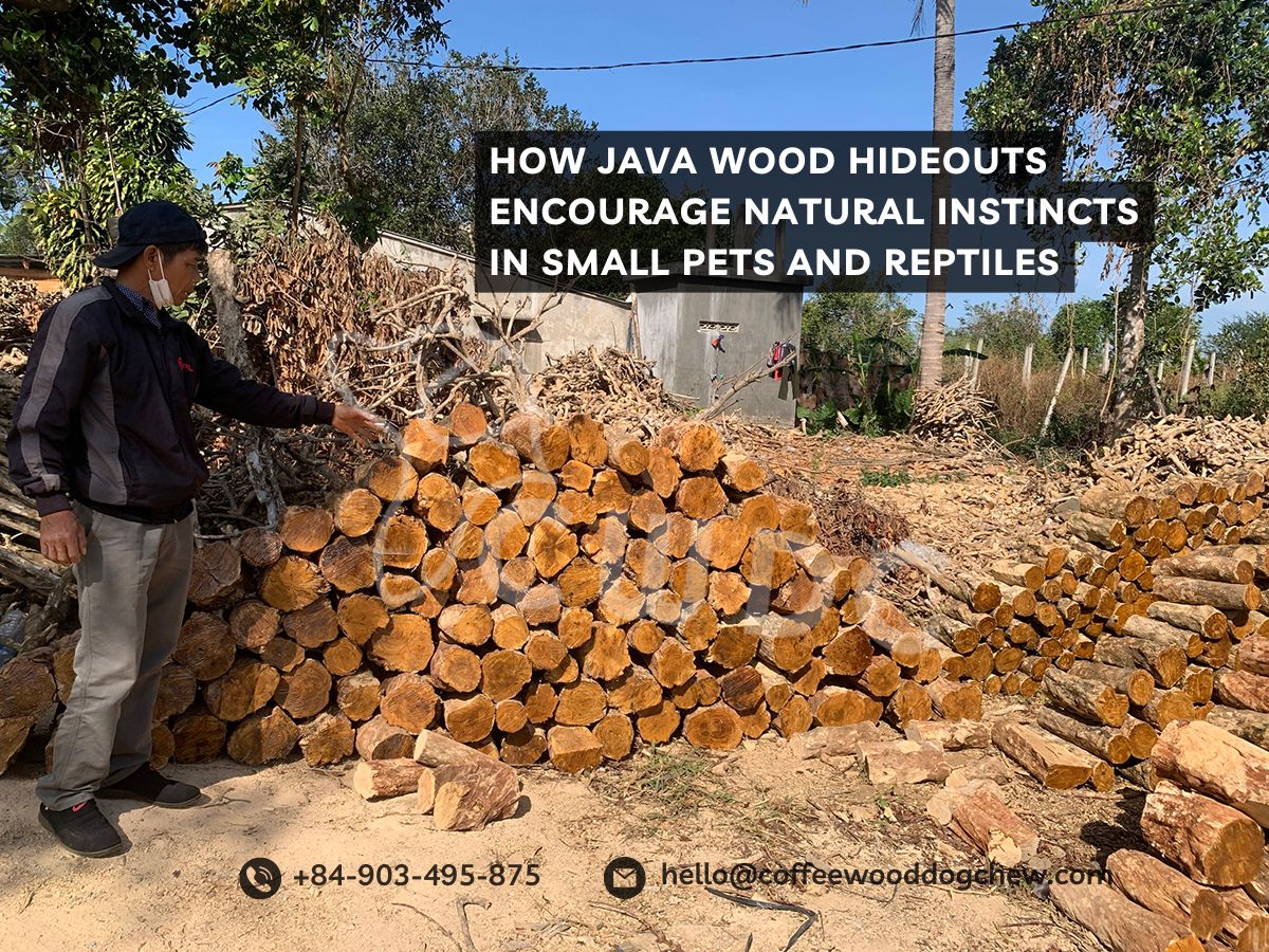 how-java-wood-hideouts-encourage-natural-instincts-in-small-pets-and-reptiles