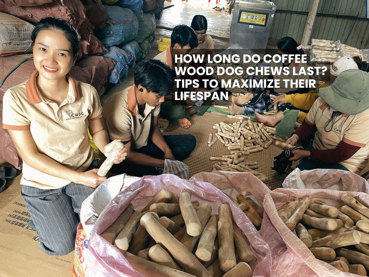 How Long Do Coffee Wood Dog Chews Last?