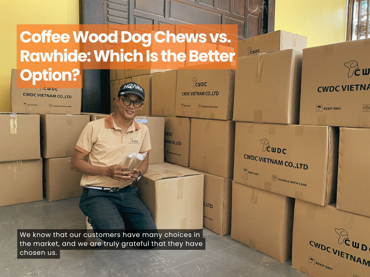 coffee-wood-dog-chews-vs-rawhide-which-is-the-better-option