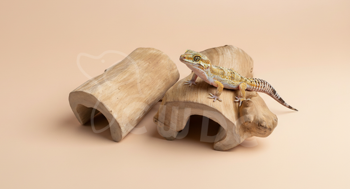 java-wood-pet-habitats-for-hamsters-and-reptiles-blog