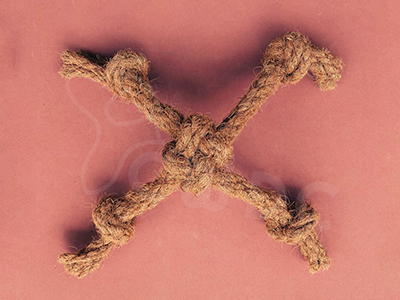 coconut-coir-spider-x-made-by-cwdc-vietnam.jpg