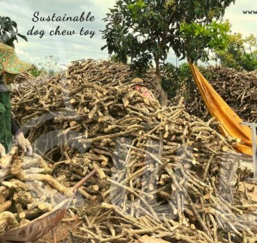 coffee-wood-dog-chew-toy-suppliers-and-manufacturers-and-b2b-coffee-tree-wood-dog-toy-cwdc-vietnam.jpg