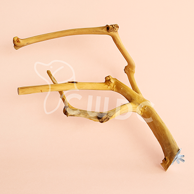 java-wood-bird-perch-fb-29-made-by-cwdc-vietnam