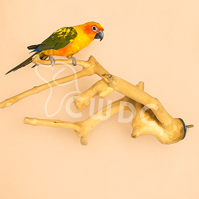 java-wood-bird-perch-fb-30-made-by-cwdc-vietnam