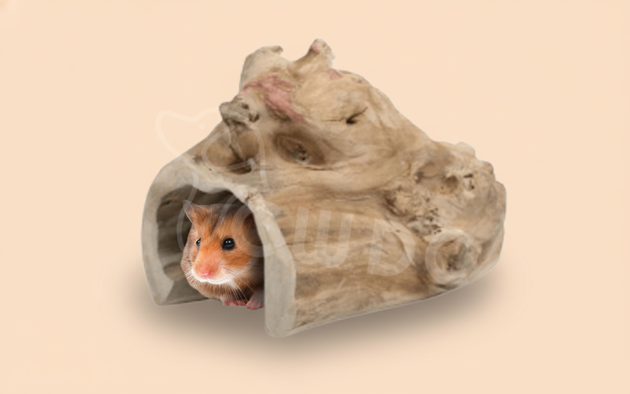 java-wood-the-ideal-blend-of-safety-comfort-and-style-for-pet-environments-blog