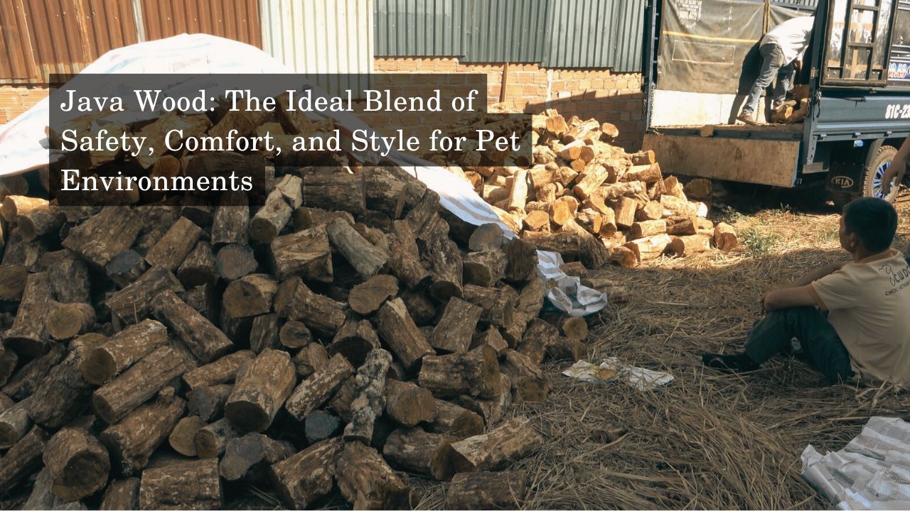 java-wood-the-ideal-blend-of-safety-comfort-and-style-for-pet-environments