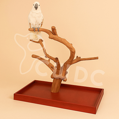java-wood-tree-playstands-fb-06-made-by-cwdc-vietnam