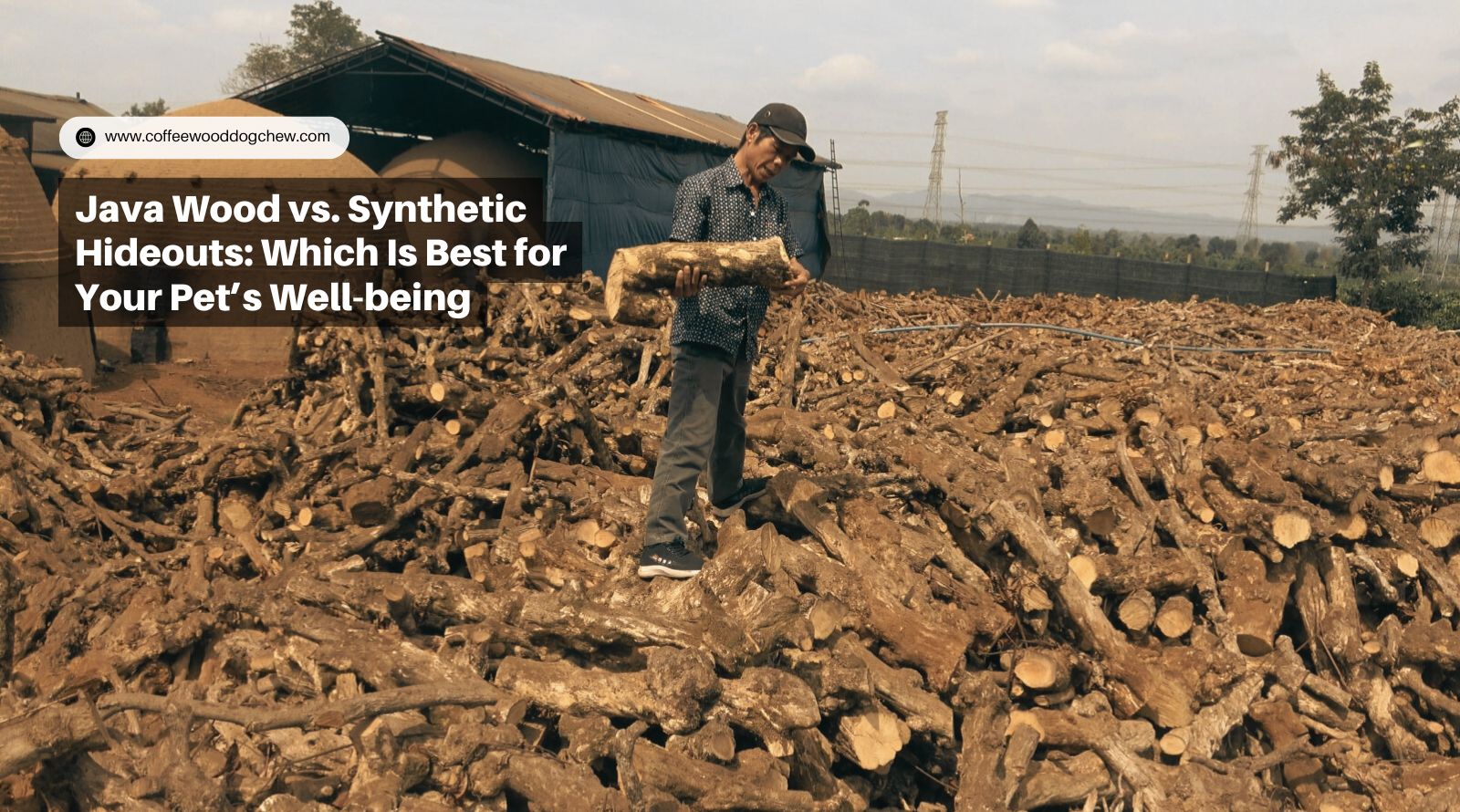 java-wood-vs-synthetic-hideouts-which-is-best-for-your-pets-well-being