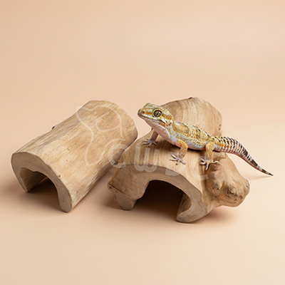 reptile-hamster-product-fr-10-made-by-cwdc-vietnam