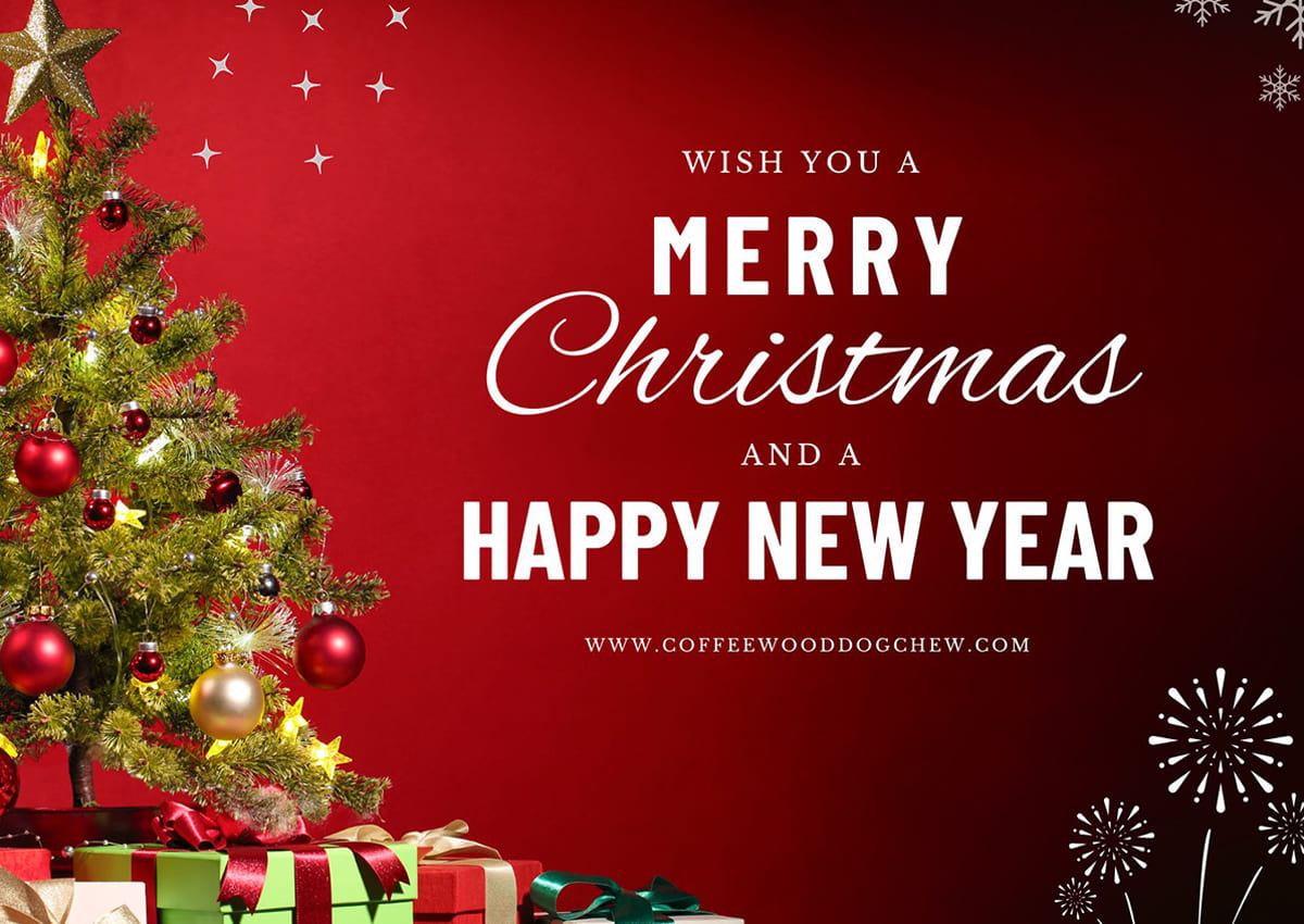 Merry_Christmas_and_Happy_new_year_2026_CWDC_VietNam