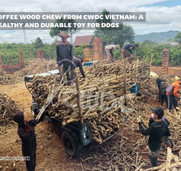 coffee-wood-chew-from-cwdc-vietnam-a-healthy-and-durable-toy-for-dogs-made-in-vietnam