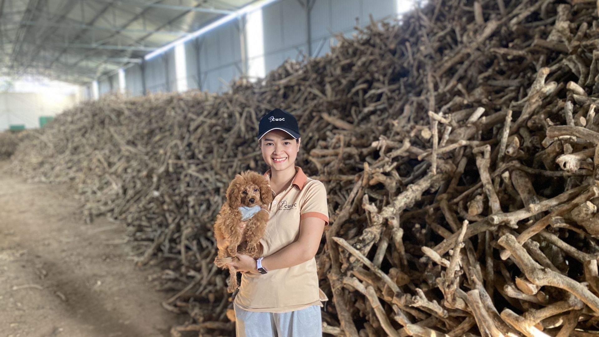 coffee-wood-chews-for-senior-dogs-are-they-suitable-for-older-pets
