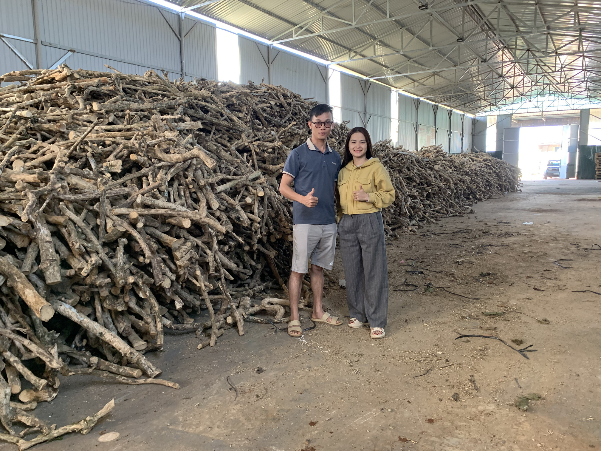 how-climate-and-soil-in-vietnam-improve-the-quality-of-coffee-wood-chews-1