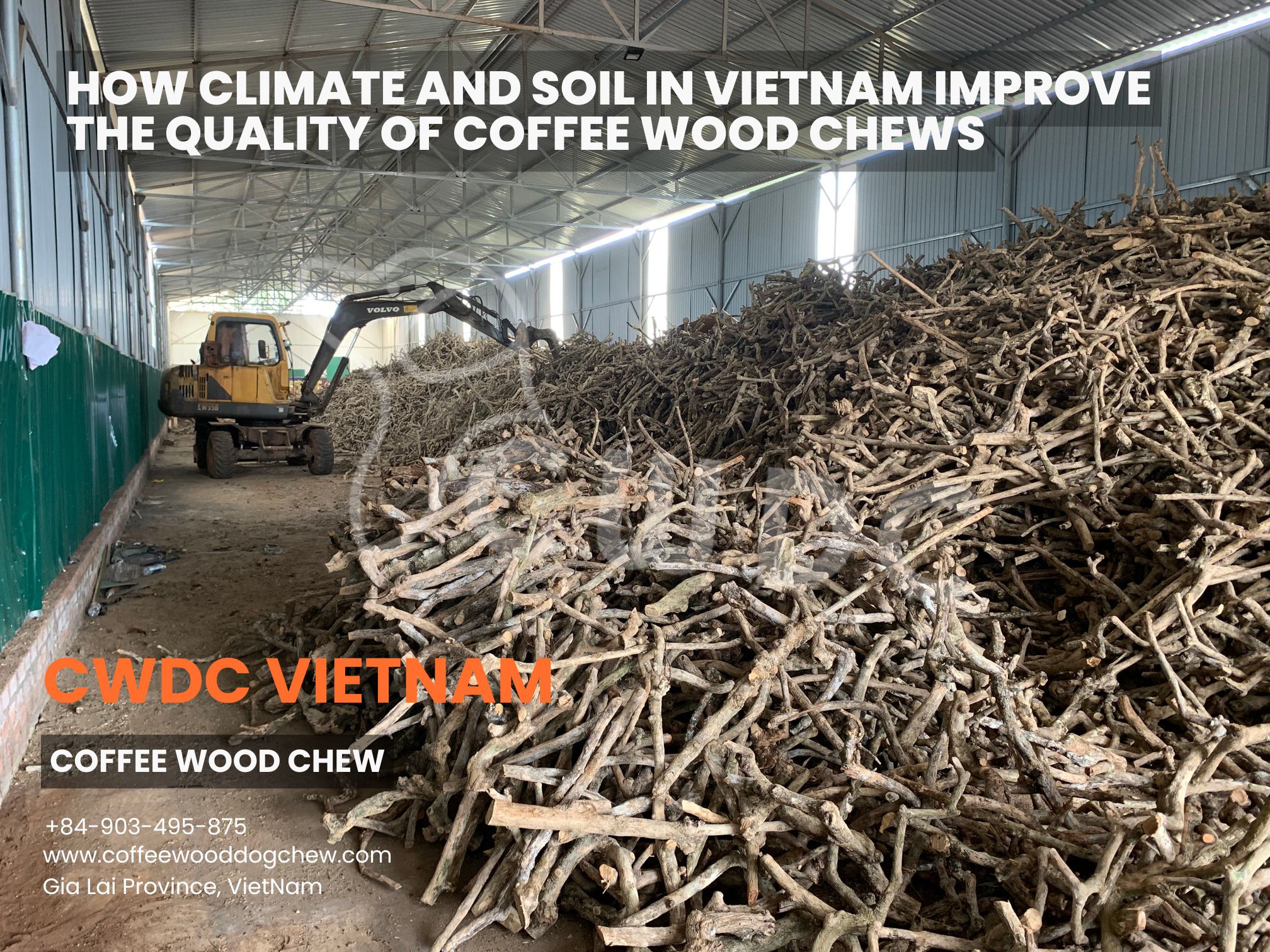 how-climate-and-soil-in-vietnam-improve-the-quality-of-coffee-wood-chews-3