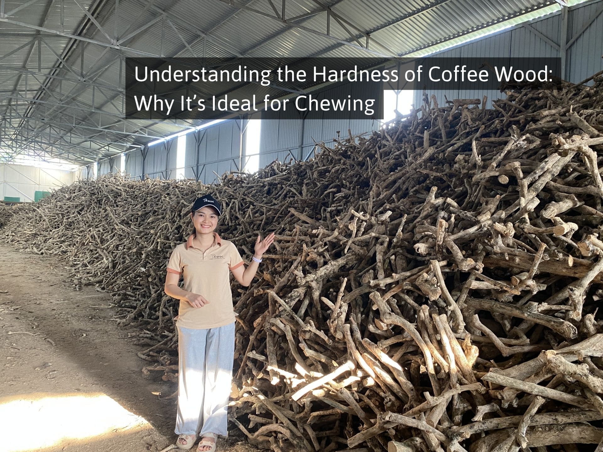 understanding-the-hardness-of-coffee-wood-why-its-ideal-for-chewing