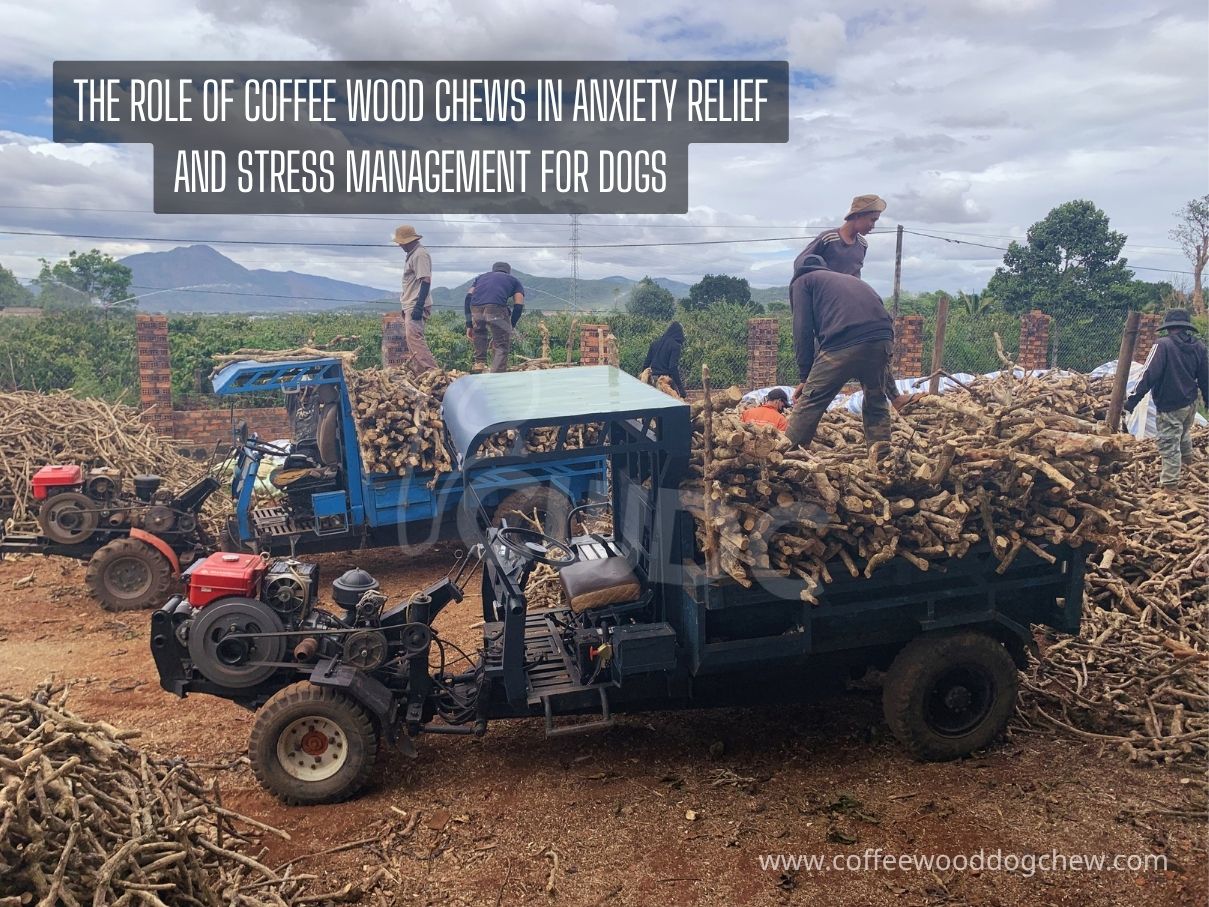 The Role of Coffee Wood Chews in Anxiety Relief and Stress Management for Dogs