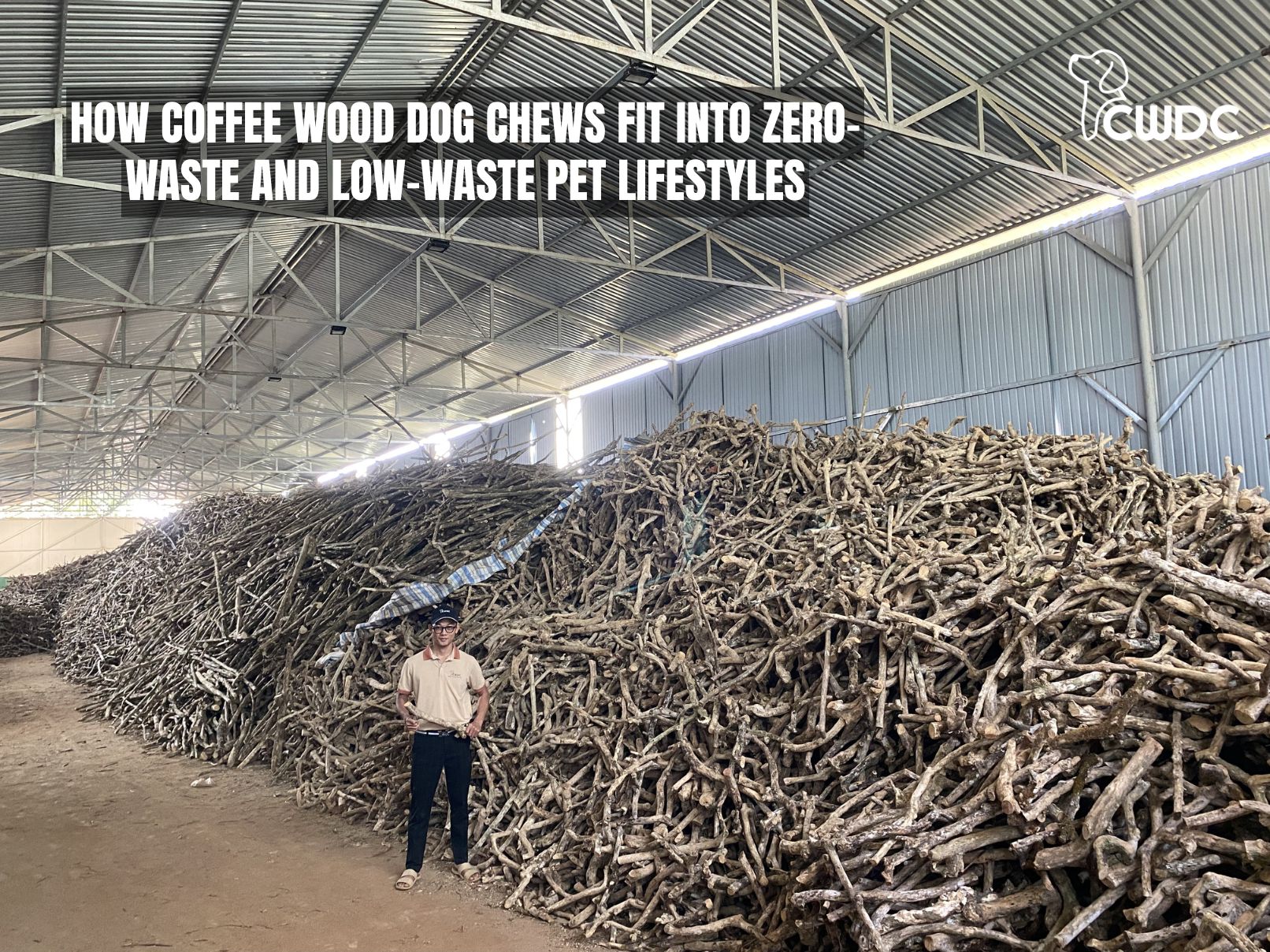 how-coffee-wood-dog-chews-fit-into-zero-waste-and-low-waste-pet-lifestyles